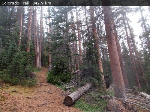 Walking 4 Fun Trail Location