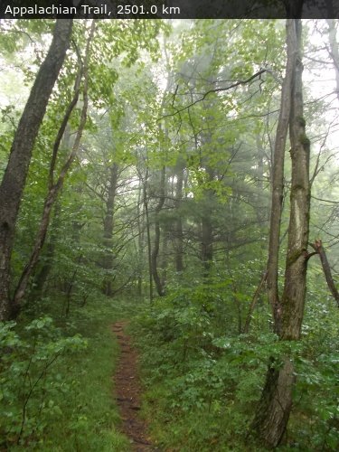 Walking 4 Fun Trail Location
