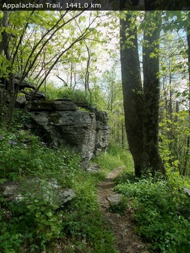 Walking 4 Fun Trail Location