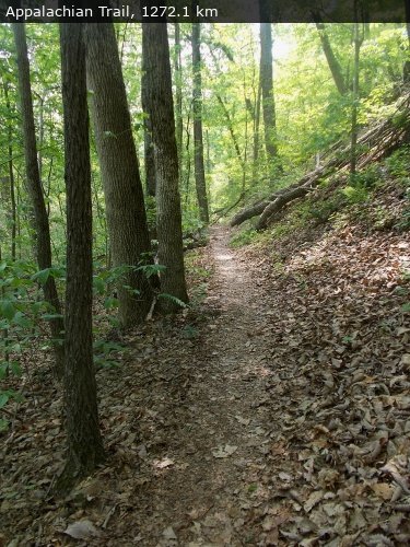 Walking 4 Fun Trail Location