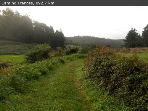 Walking 4 Fun Trail Location