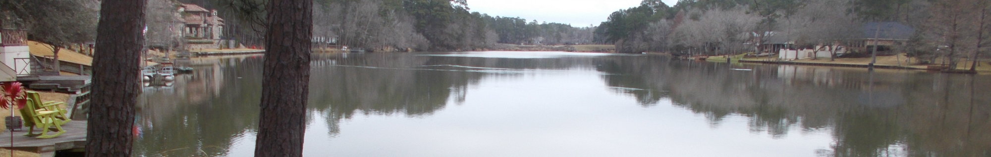 Lakeside View