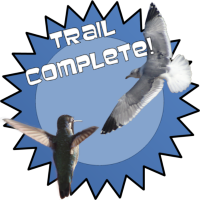 Trail Award