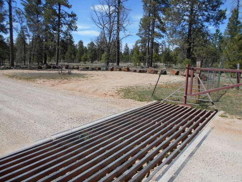 Cattle guard!