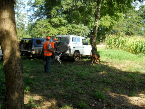 A hunting party?