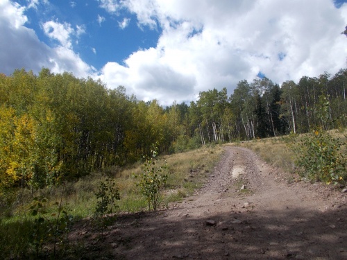 Van Tassel Gulch Road