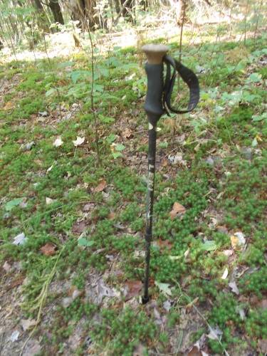 Trekking pole