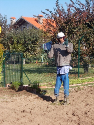 Odd little scarecrow