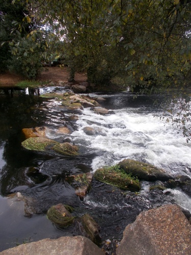 Río Umia