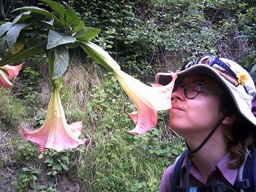 Stop and smell the flowers!
