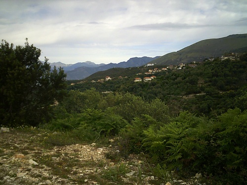 Lukovë