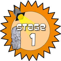 Stage 1 Award
