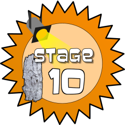 Stage 10 Award