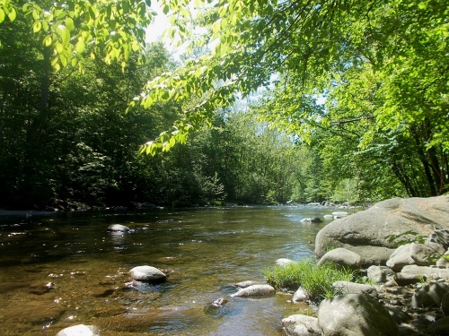Tye River