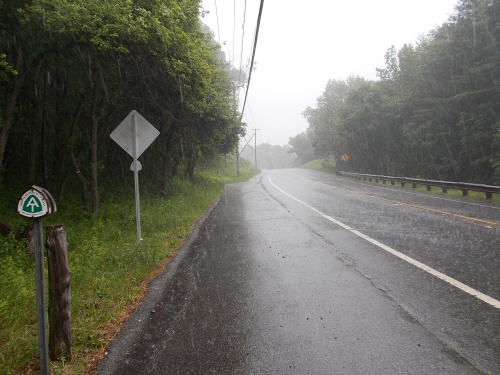 US 20