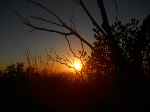 Sunset on Oracle Ridge