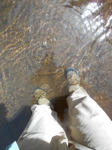 Fording Sycamore Creek