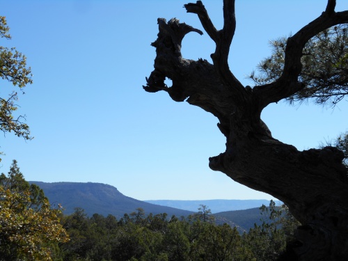 Mogollon Rim