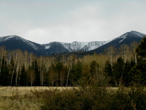 Snow covered mountains!