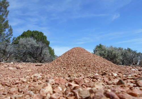 Ant hill