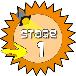 Stage 1 Award