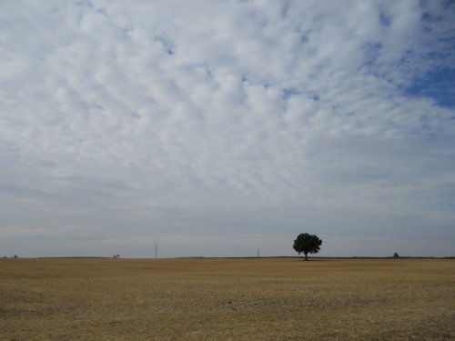 The flat and empty Meseta