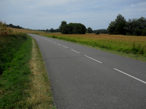 243.6&nbsp;miles