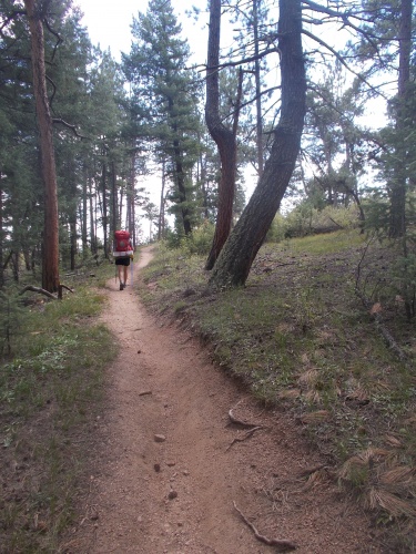 23.8&nbsp;miles