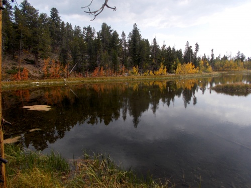 Harvard Lake