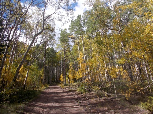 Van Tassel Gulch Road