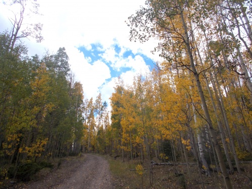 Van Tassel Gulch Road