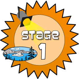 Stage 1 Award