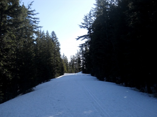 16.7 miles