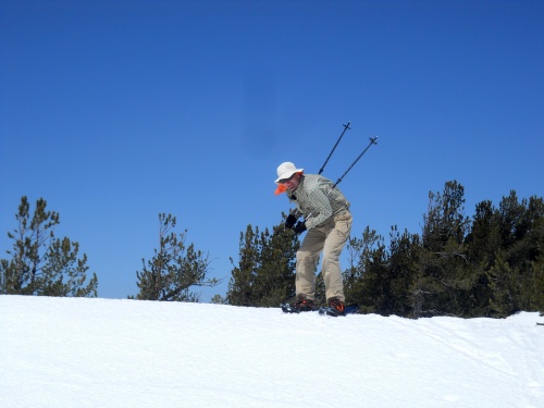 Skiing on Snowshoes