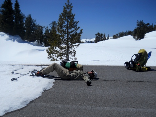 Resting on the warm, dry pavement