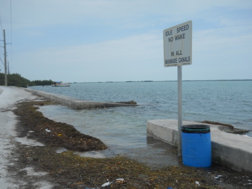 High tide!