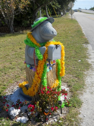 Shake it, mama manatee!