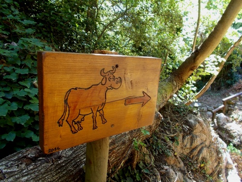 Happy cows, that way!