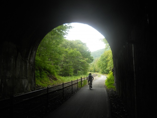 Exiting Brush Tunnel