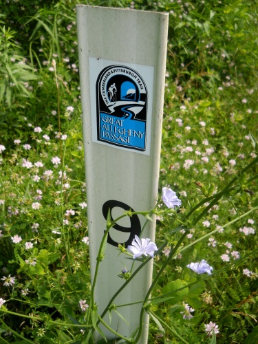 Mile Marker 9