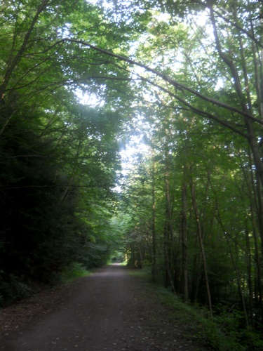 44.9&nbsp;miles