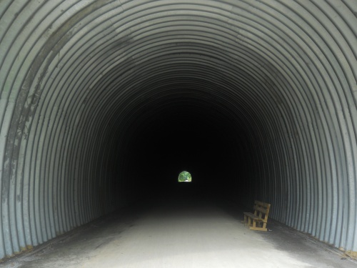Pinkerton Tunnel