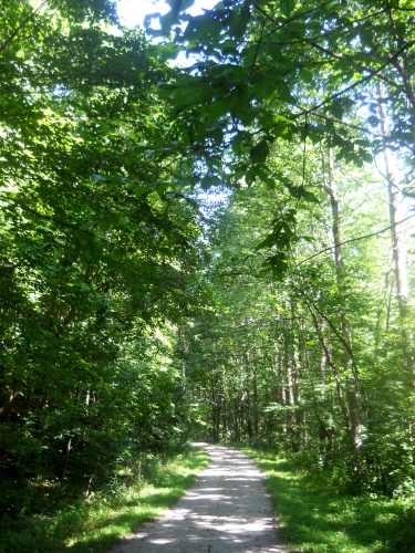 77.2&nbsp;miles
