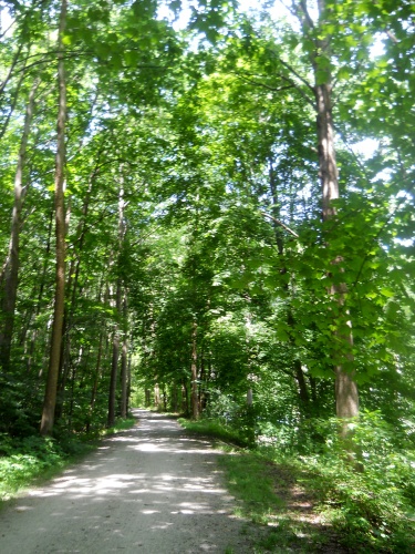 81.5&nbsp;miles