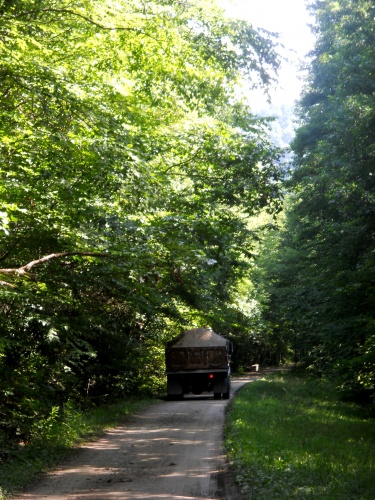 Trail work!