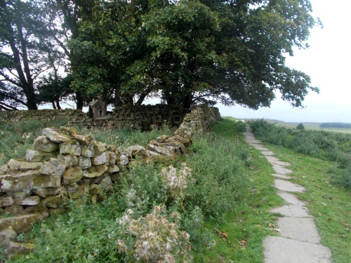 Grindon Milecastle