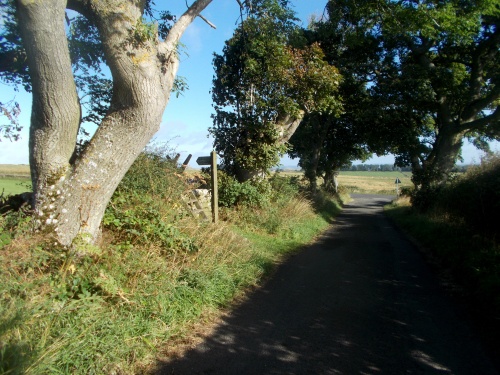 27.3 miles