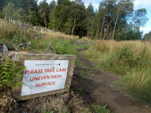 Uneven path surface
