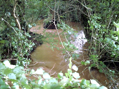Flooded creek