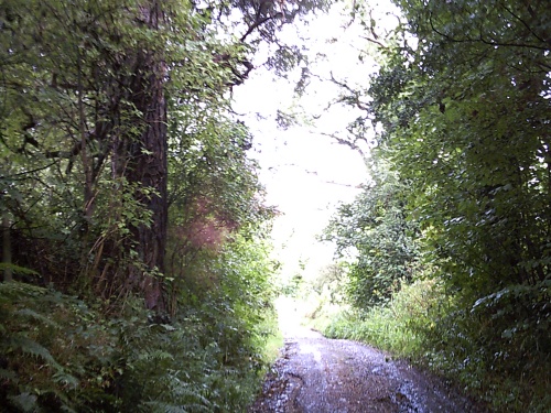 60.6 miles